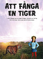 tigeraff